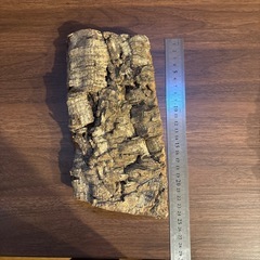 テラリウム、アクアリウム、コルク樹皮の画像