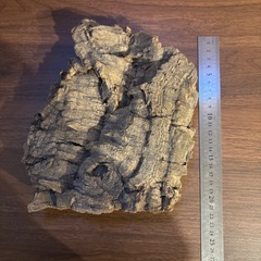 テラリウム、アクアリウム、コルク樹皮の画像