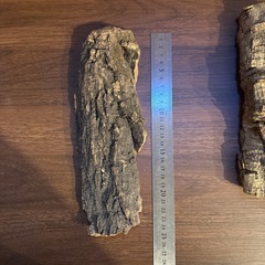 テラリウム、アクアリウム、コルク樹皮の画像