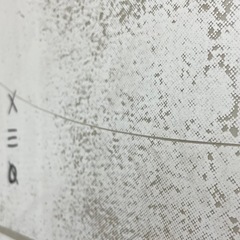 BURTON DECENDANTの画像