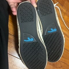 コンバース世界の挨拶スニーカー！の画像