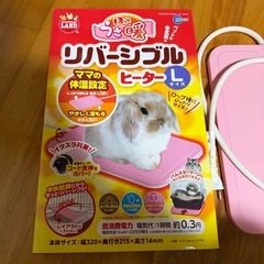 リバーシブルヒーター　ペット　動物　L うさ暖の画像