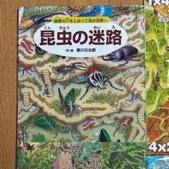 冒険！発見！大迷路 8冊　＆　その他迷路2冊の画像