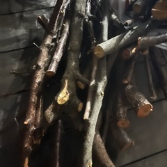 柿の木伐採枝等　BBQや焚き火にどうぞの画像