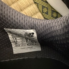 運動靴　　子供用　やや小さめ　24.5センチの画像