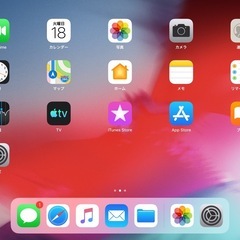 iPad Air 第1世代　Wi-Fiモデル　　の画像