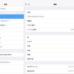 iPad Air 第1世代　Wi-Fiモデル　　の画像