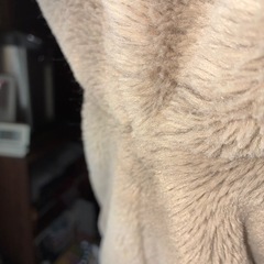 レディースジャケットＭサイズの画像