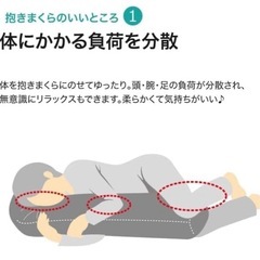 NITORI アタマモササエル抱き枕の画像