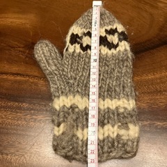 レディース　手袋　ミトンの画像