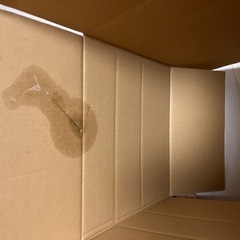 ⭐️引越しに⭐️　段ボール11枚の画像