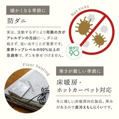 8帖カーペットの画像