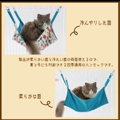 【ばっしー様受け渡し決定】セール！新品未使用 アイリスオーヤマ キャットゲージ おまけ付きの画像