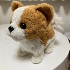 トイザラス限定　ロングコートチワワ　いっしょにワントレ1・2・3の画像