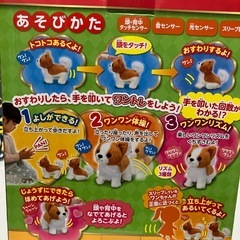 トイザラス限定　ロングコートチワワ　いっしょにワントレ1・2・3の画像