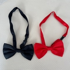 ウィングカラーシャツ セットの画像