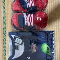 琉球ゴールデンキングスの画像