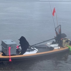 サップsupの画像