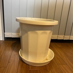 大きめプランター　植木鉢の画像