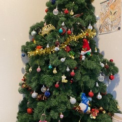 クリスマスツリーの画像