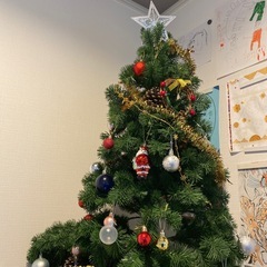 クリスマスツリーの画像