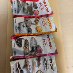 キャットフィッシュ　他熱帯魚エサ 　の画像