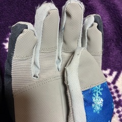 GERRY COSBY グローブの画像