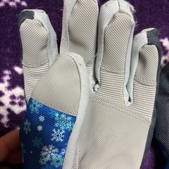 GERRY COSBY グローブの画像