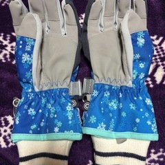 GERRY COSBY グローブの画像