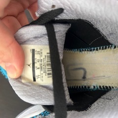 Nike Air Jordan 3 Retro Powder Blue ナイキ エアジョーダン 3 レトロ パウダーブルーの画像