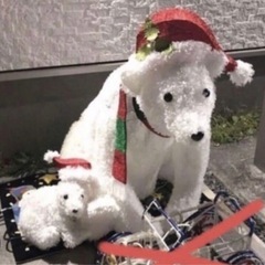 Costco コストコ クリスマスイルミネーション BIGサイズ しろくまの親子 飾り Xmas モチーフライト オブジェ 大きい クリスマスライト の画像