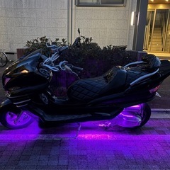 マジェスティフルカスタム 美車の画像