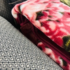 【激安】伊藤忠商事 ソフトカーペットの画像