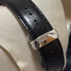 お値段ご相談ください。 Vivienne Westwood cage vw20e8-02 稼動品の画像