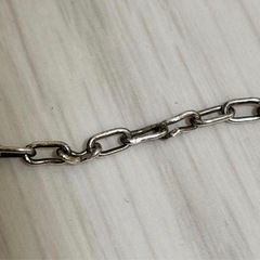 Flash Point JESUS MERTY マリア シルバー ネックレスの画像