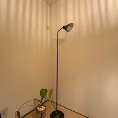フロアライトの画像