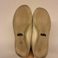 コーチ　24cm　レザースニーカー　ローカット　レオパード　の画像