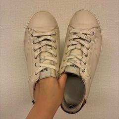 コーチ　24cm　レザースニーカー　ローカット　レオパード　の画像