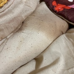 こたつ　布団付き！の画像