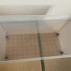 【あげます】透明プラスチック衣装ケースの画像