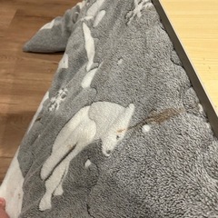 【取引中】21日17時　こたつの画像