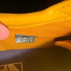 バンズ　スニーカーの画像