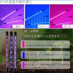 新品同様　多肉植物 観葉植物 LEDライト 2セットの画像