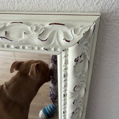 ヴィンテージ風ミラーの画像