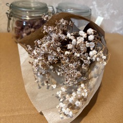 ドライフラワーの画像