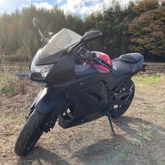 乗って帰れます　自賠責付　ニンジャ250R KAWASAKI の画像