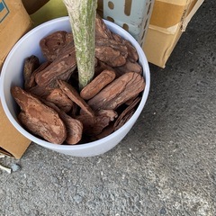 造花の植木鉢の画像