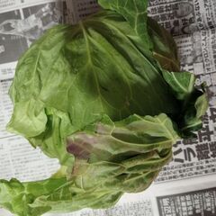 第４弾【野菜いかがでしょうか？】の画像