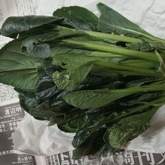 第４弾【野菜いかがでしょうか？】の画像