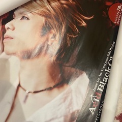 Acid Black Cherryポスター９本セットの画像